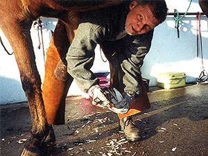 Klaus Heim bei der Arbeit